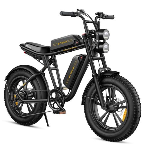 avis engwe m20